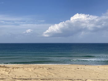 �����񍐎ʐ^